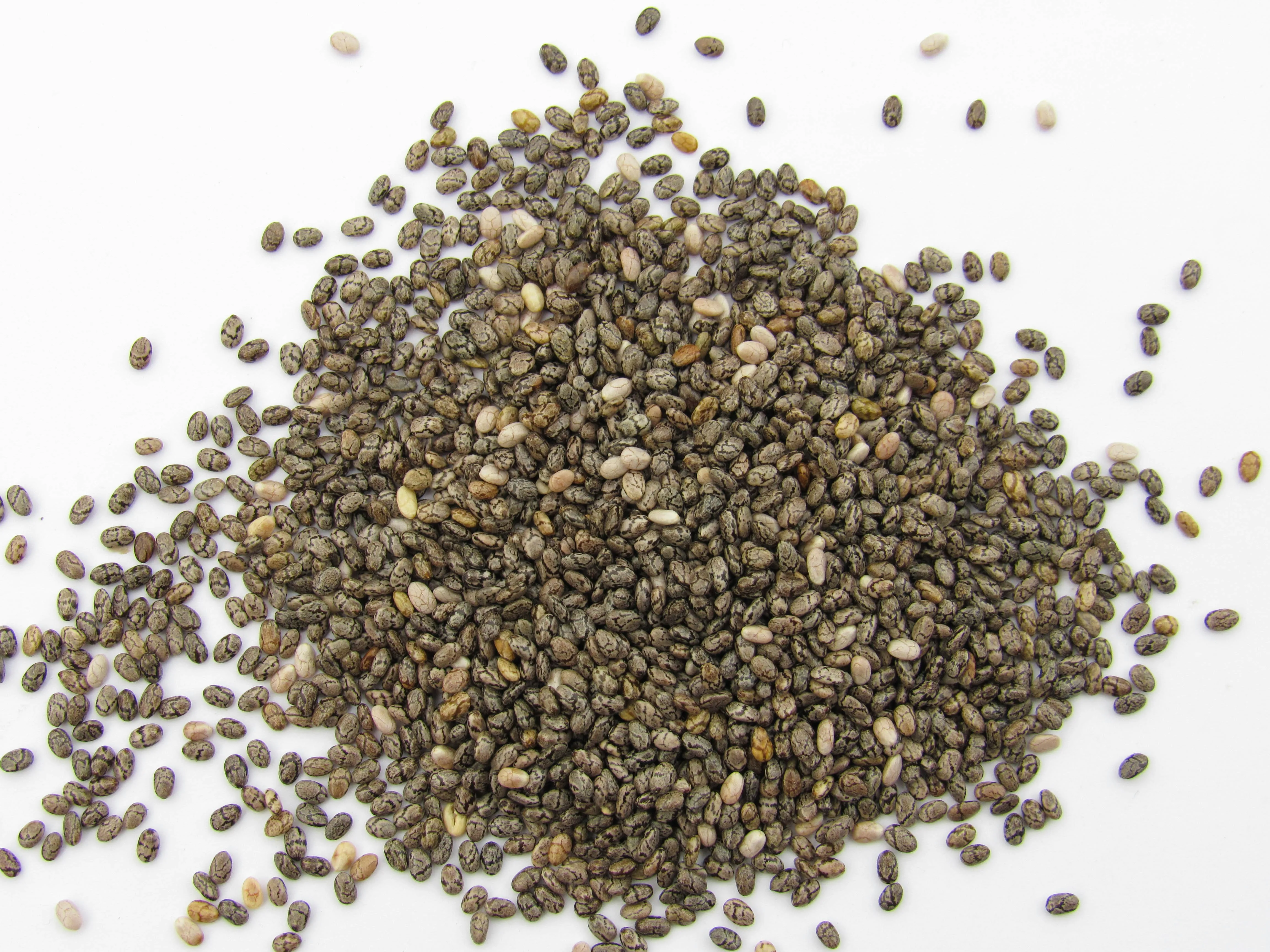 Graines de chia