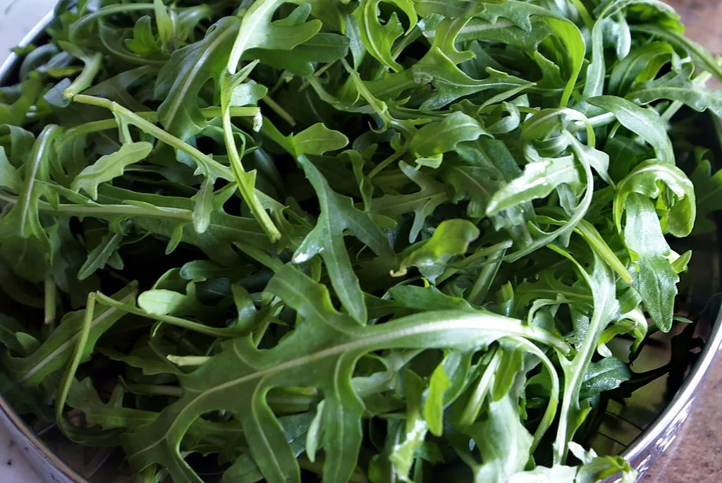 Roquette