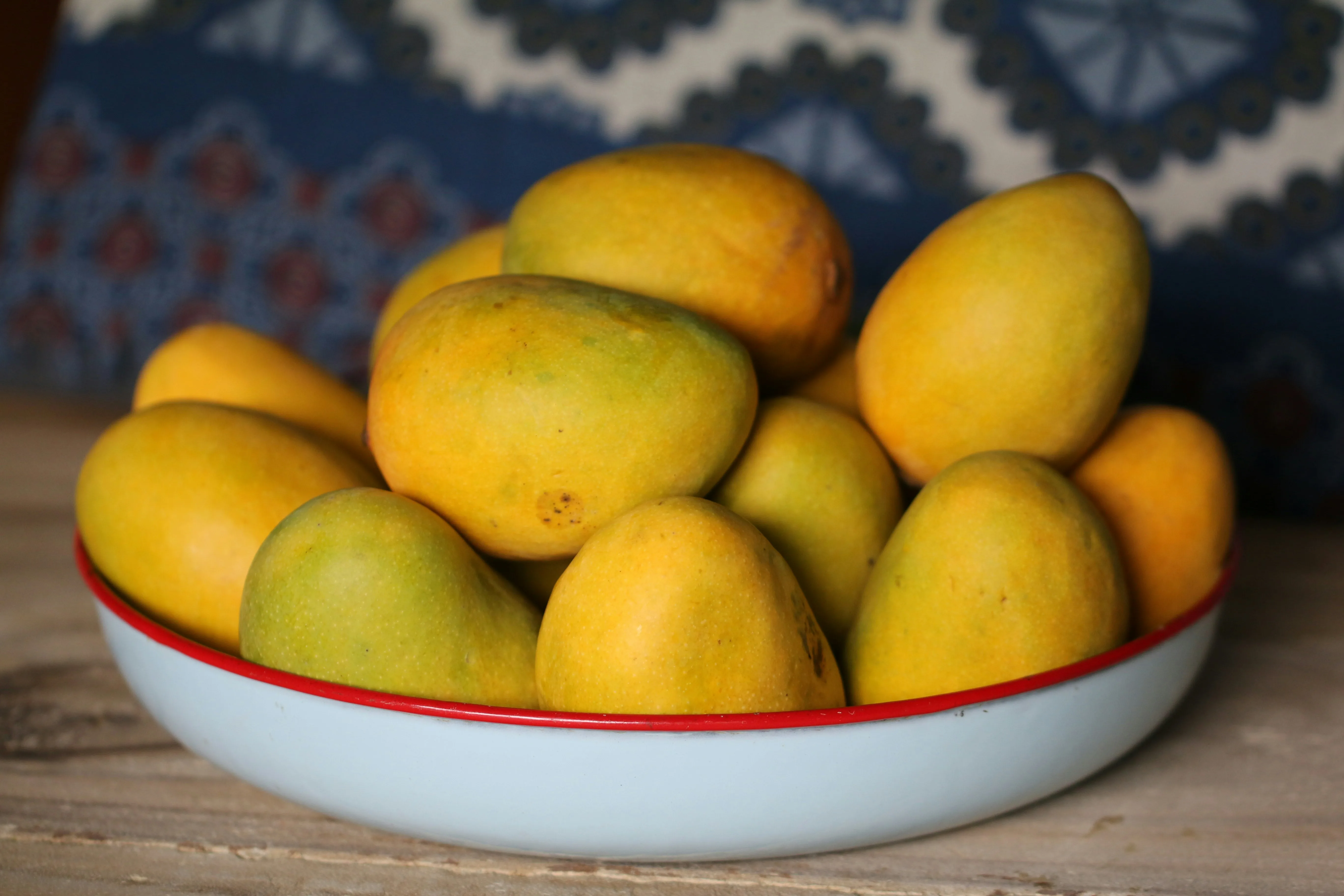 Mangue