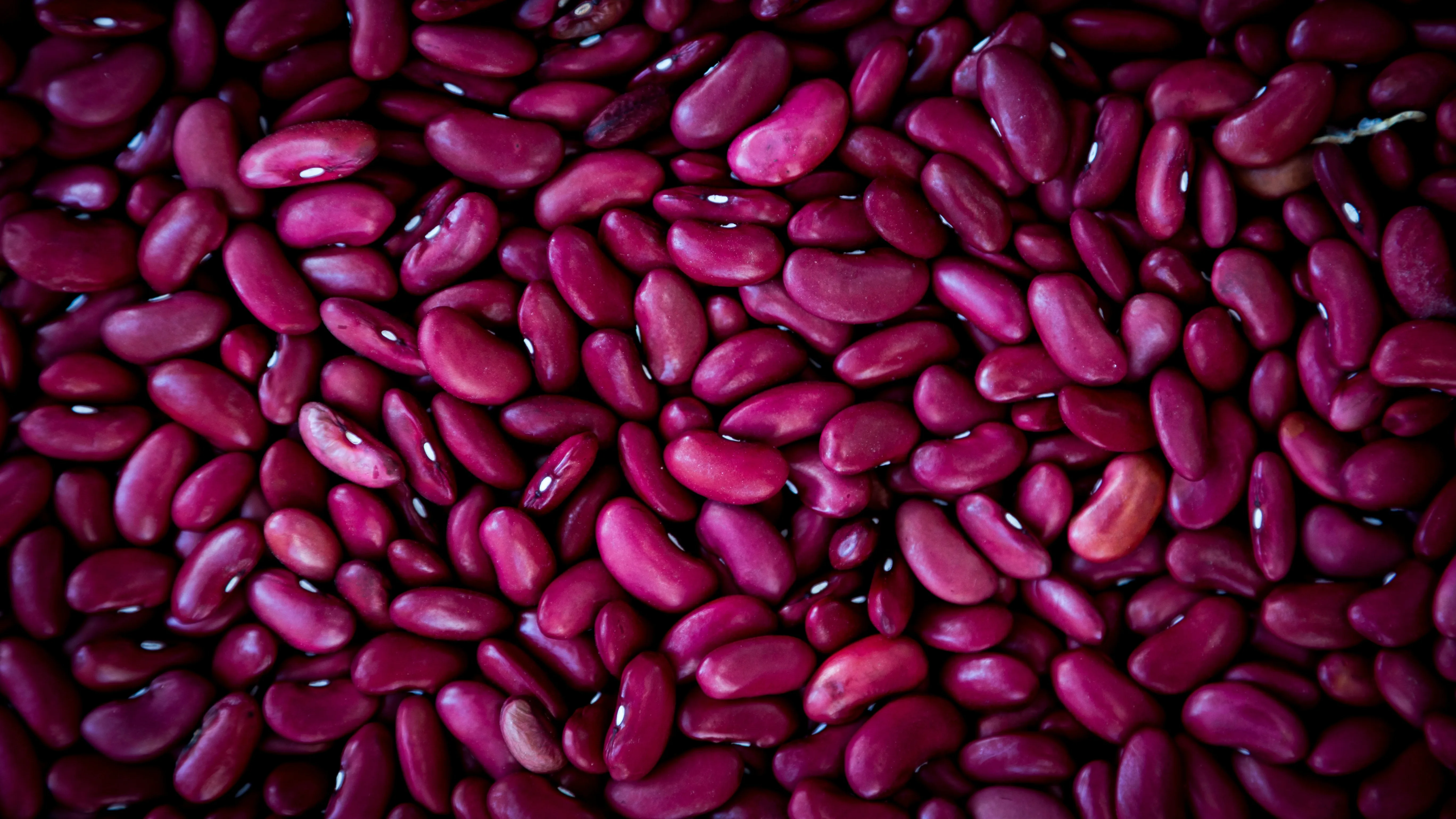 Haricots rouges cuits