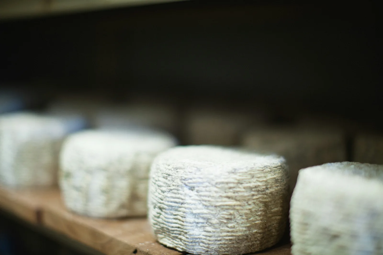 Fromage de chèvre