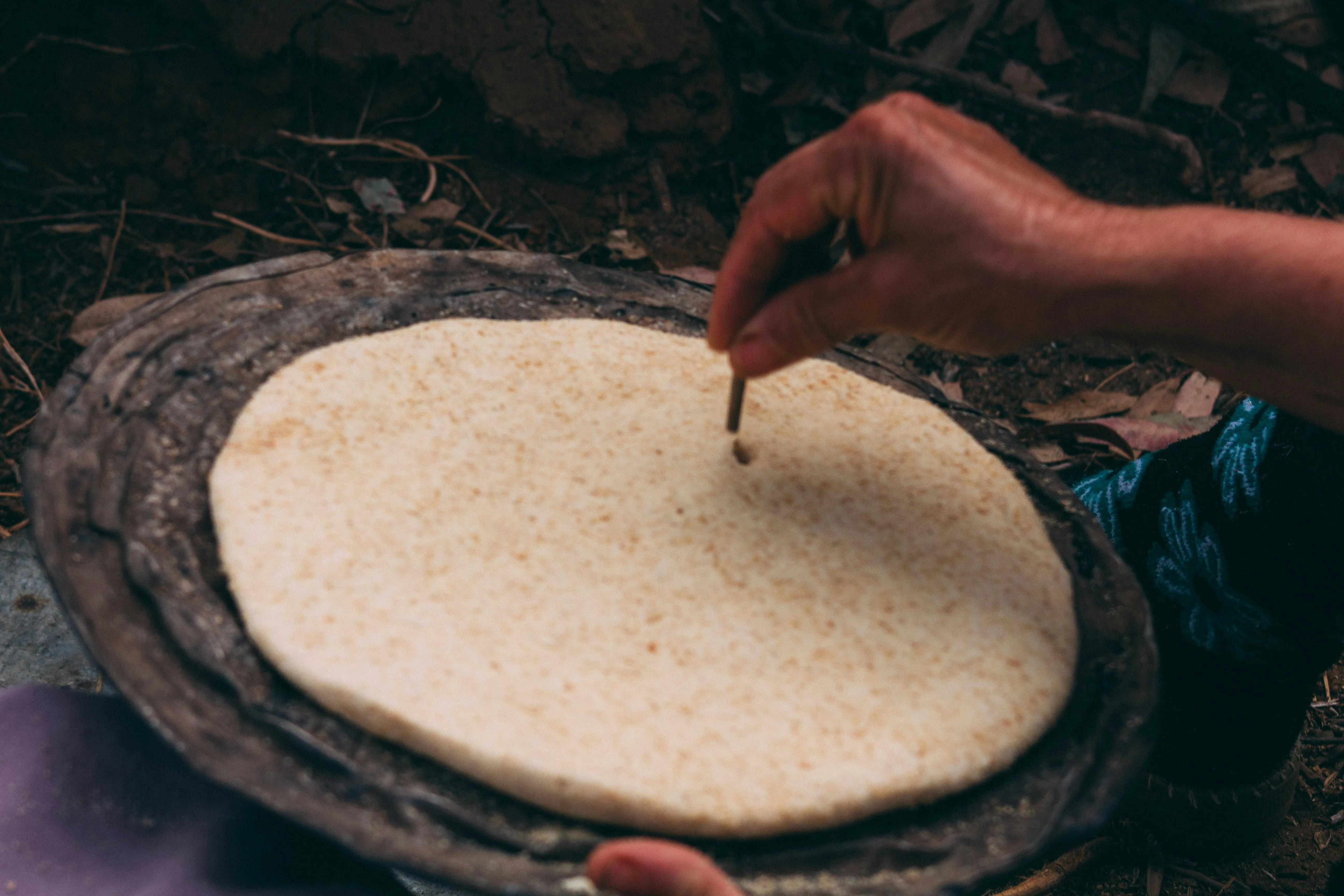 Tortilla de blé