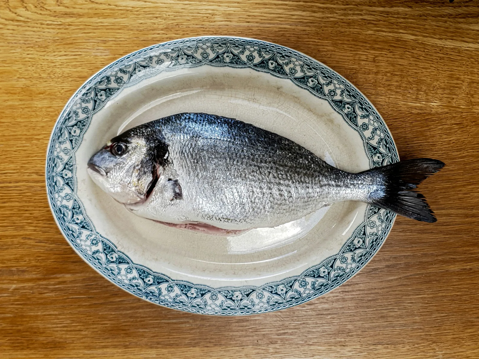 Dorade