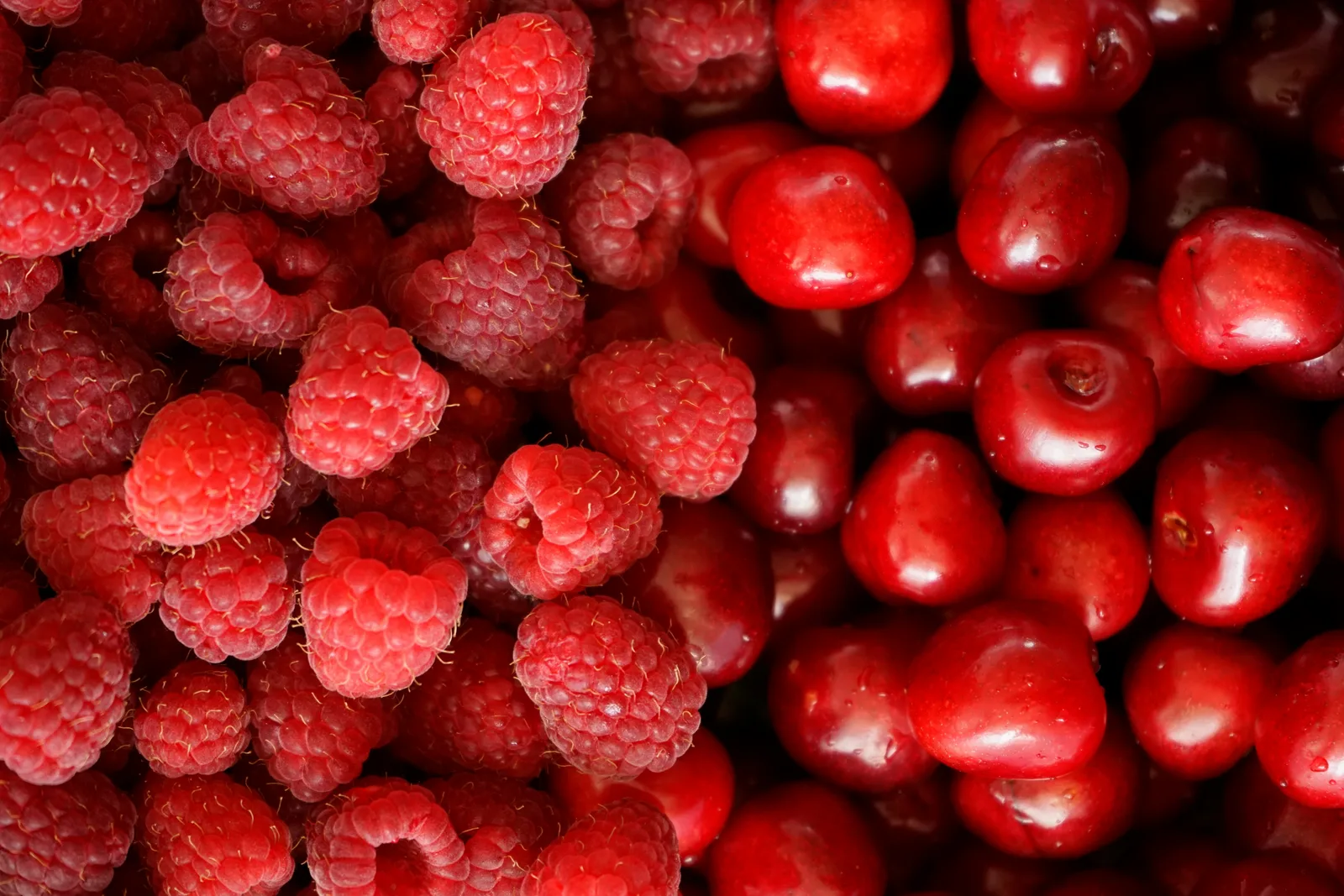 Fruits rouges