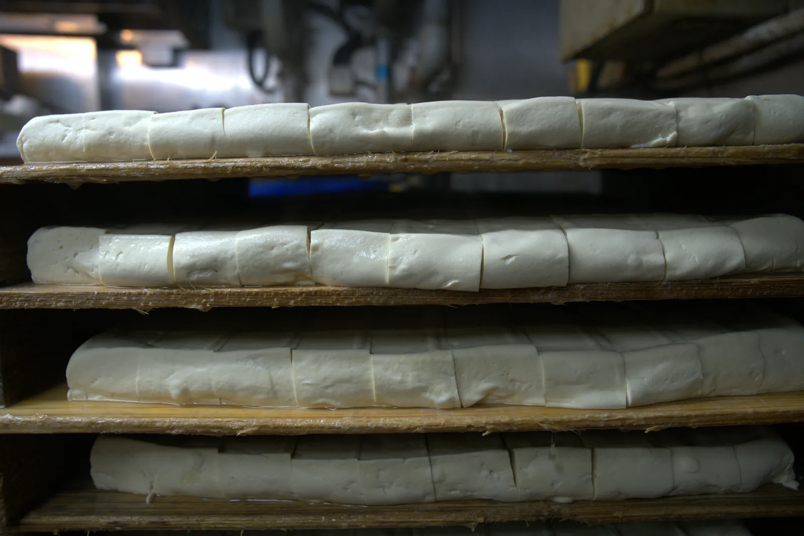 Tofu ferme
