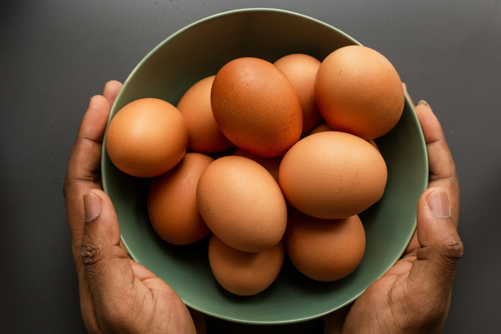 Oeuf